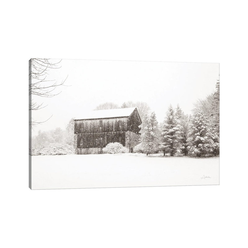 First Snow Bw Crop by Aledanda - Wrapped Canvas Print, 20.32 cm H x 30.48 cm W