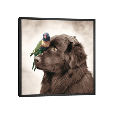 Henry And Pipi by Rachael Hale - Print on Canvas