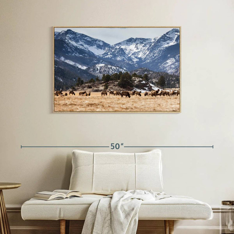 Elks Of Rocky Mountains, Floating Frame Natural Wood, 40" X 27"
