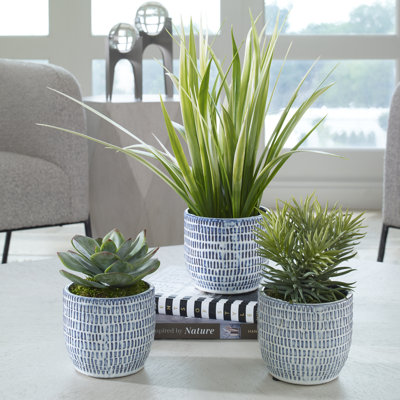 Arquette 16'' Faux Succulent in Ceramic Pot