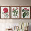Ensemble de 3 peintures sur toile Roseat Blooms IV-1642987143-1642987162