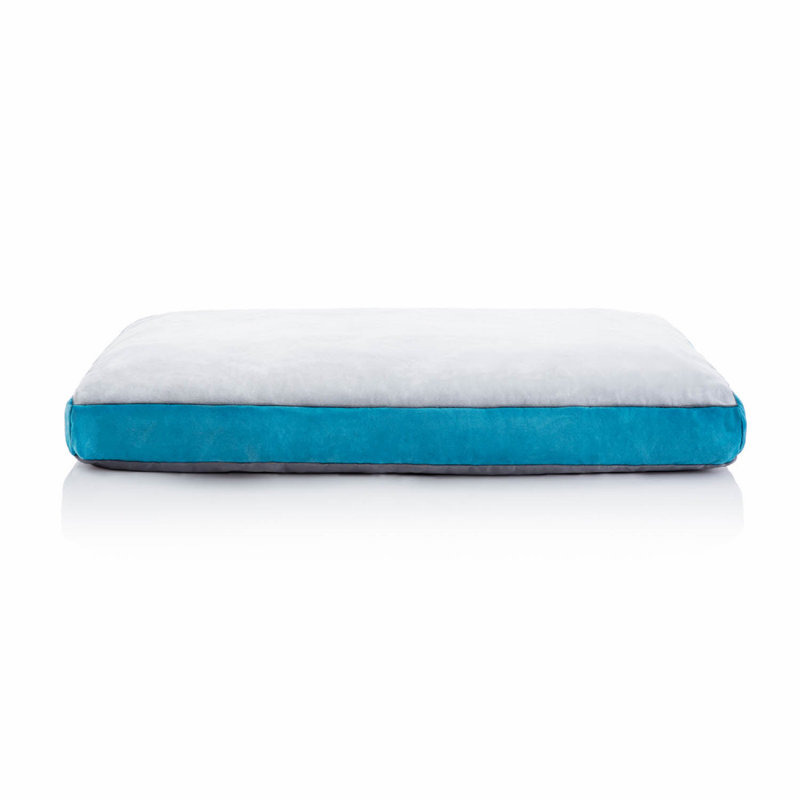 Matelas déchiqueté pour animaux de compagnie Costello, Bleu sarcelle, Petit (l 22 po x P 16 po x H 3 po)