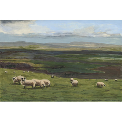 «Highland Sheep I on Canvas» par Michael Willett, reproduction