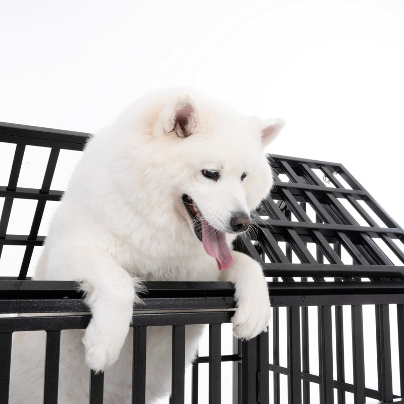 Cage pour chien 52 po en métal robuste pour les grandes races - 4 roulettes verrouillables, finition, 2 plateaux amovibles, entrées avant et toit, processus d'assemblage simple avec structure à roulettes, casseroles en plastique, ouvertures, facile