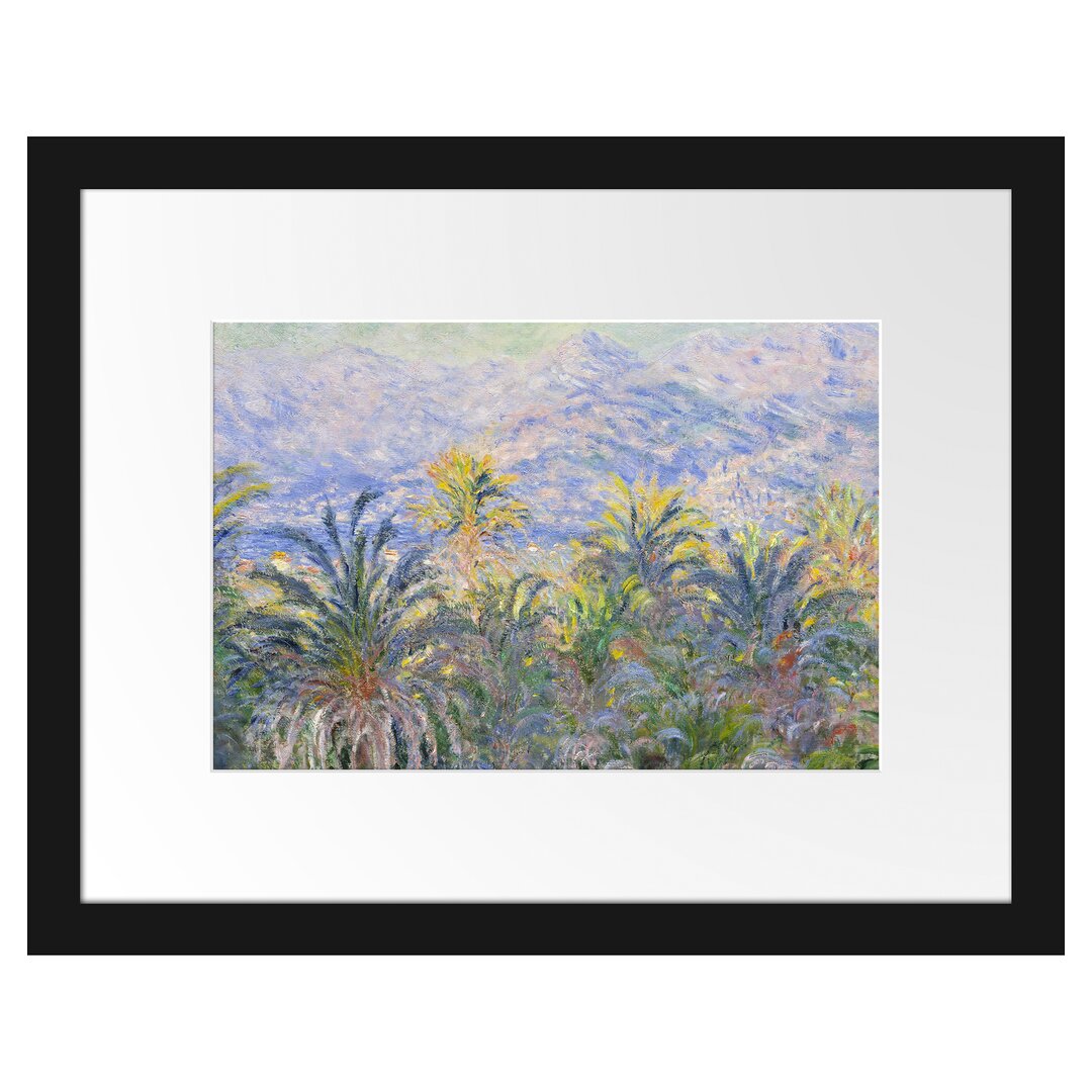 Gerahmter Kunstdruck Palm Trees in Bordighera von Claude Monet