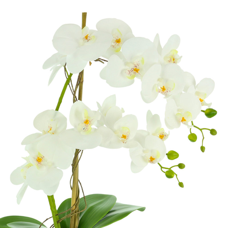 Orchids Floral Arrangements and Centerpieces in Vase