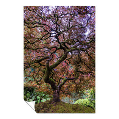 Tall Japanese Maple Tree Yellow Orange Leaves 1 Piece Wall Art