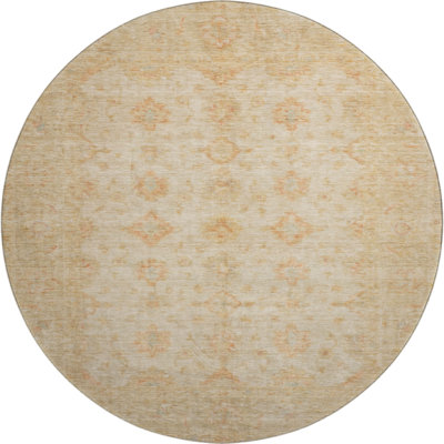 Premium Machine Washable Brennon AMF1643 Global Rug