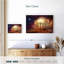 Vendange Saint Javetta-111890428