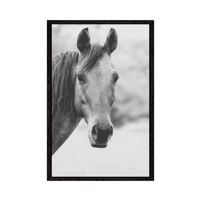 Wild Heart by Ann Hudec - Print on Canvas, 101.6cm H x 66.04cm W x 3.81cm D, Black Framed