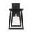 Buchanan Black 1 - Bulb Seeded Outdoor Wall Lantern-611821137