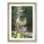Oak Framed selected