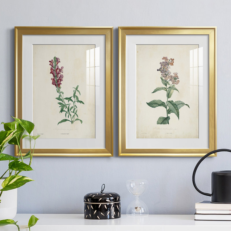 «Traditional Botanical I», reproduction encadrée de qualité supérieure, prête à être accrochée, H 42,5 po x l 61 po x P 1 po