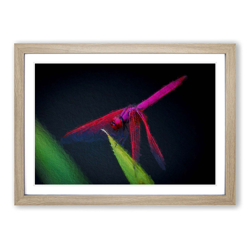 Dragonfly - Picture Frame Painting Print, 27cm H x 36cm W x 2cm D, Oak Framed