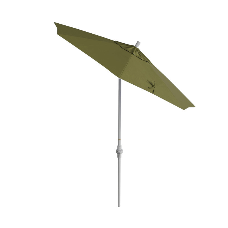 Kahron 90'' Market Sunbrella® Umbrella, Spectrum Cilantro Sunbrella® Plainweave