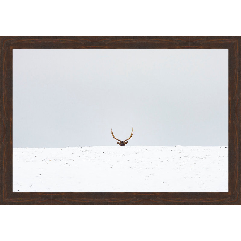 " Elk "