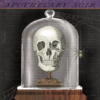 Apothecary Noir III - Wrapped Canvas Print