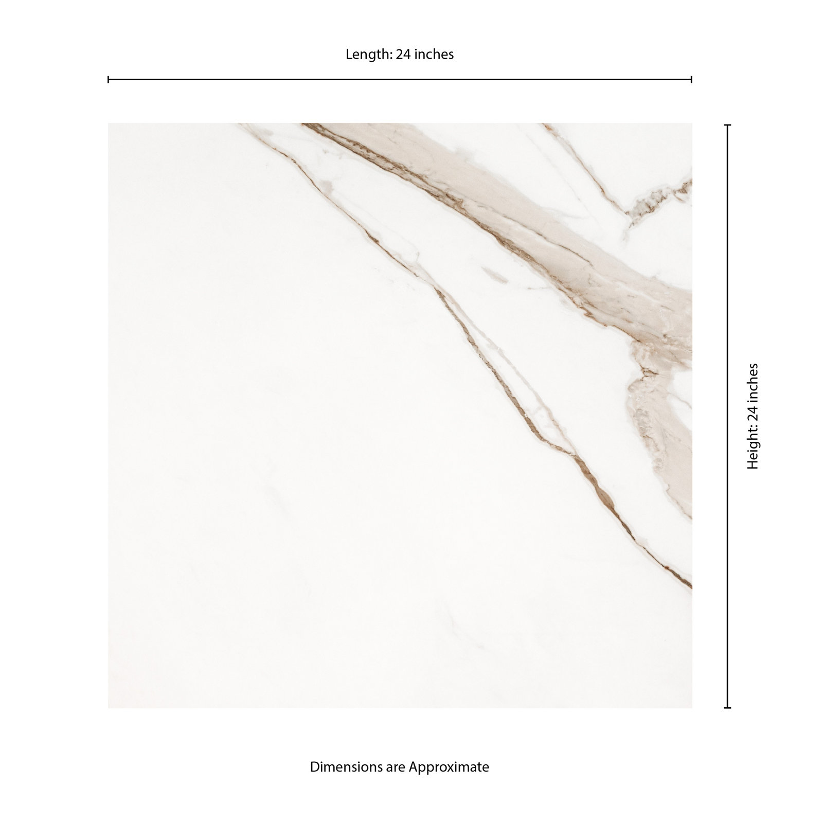 Palazza 24 in. x 24 in. Matte Porcelain Marble Look Floor and Wall Tile, Cielo Morado