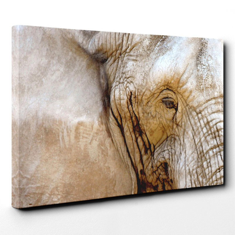 Wrapped Canvas Print, 50cm H x 76cm W