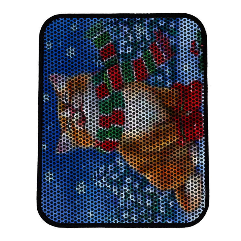 Tapis pour litière de qualité supérieure, 18 po x 24 po | 50% PVC / 50% polyester, lavable à la machine et passer l'aspirateur | Conception durable et facile à nettoyer pour les propriétaires d'animaux de compagnie | Protégez vos planchers des dégâts de la litière