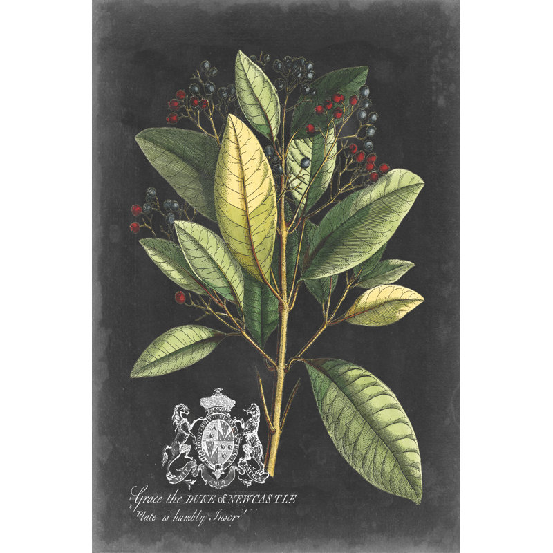 Royal Foliage IV by Vision Studio - Wrapped Canvas Graphic Art, Wrapped Canvas, 122 cm H x 81 cm W