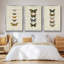 Ensemble de 3 papillons encadrés sur toile pauquet-97710714-97710721