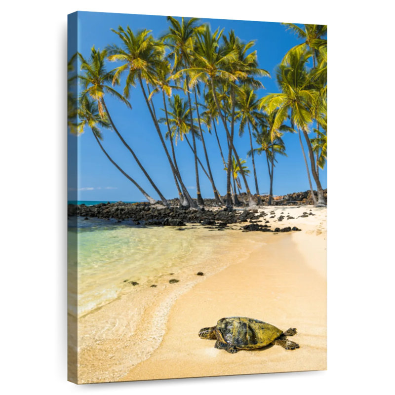 Gillard Mahaiula Gillard Turtle, 12" H x 8" W
