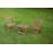 HIPS Material Outdoor Bistro Set Foldable Small Table And Chair Set With 2 Chairs And Rectangular Table-2043174243