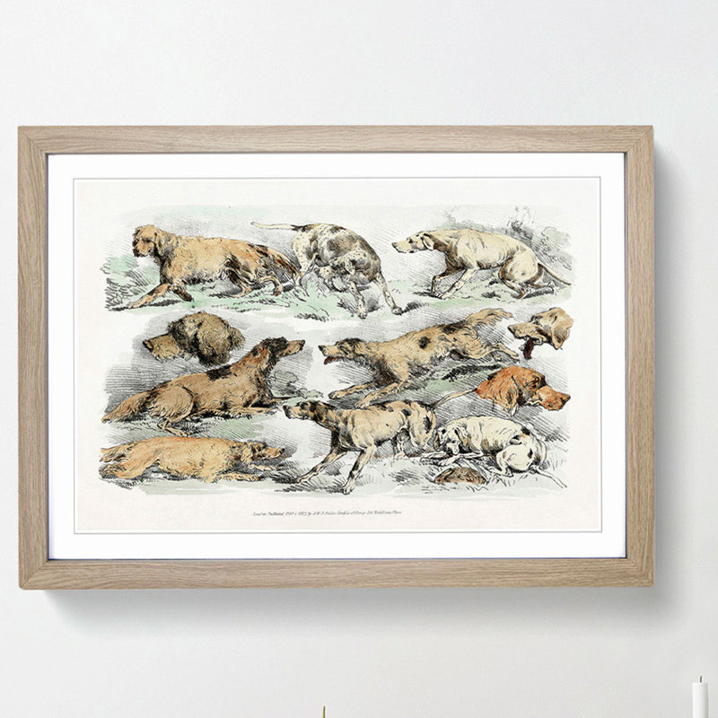 Illustration of Hounds by Henry Alken - Picture Frame Painting Print, Oak Framed, 36cm H x 48cm W x 2cm D