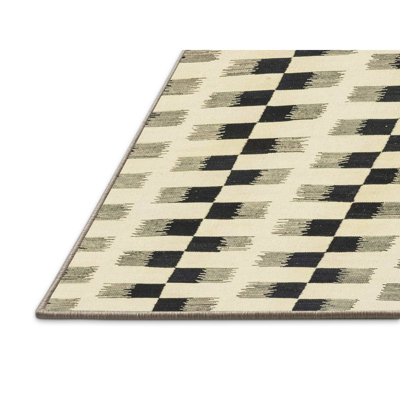 Chasity Abstract Indoor Rug, Rectangle 4' x 6'