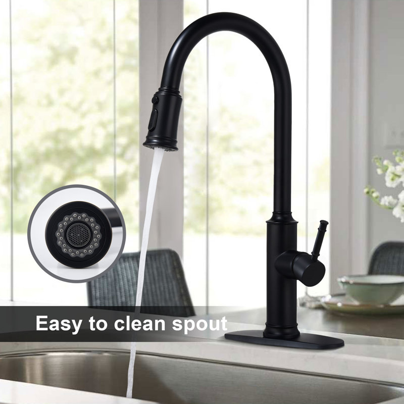 Pull Down Single Handle Kitchen Faucet, Matte Black