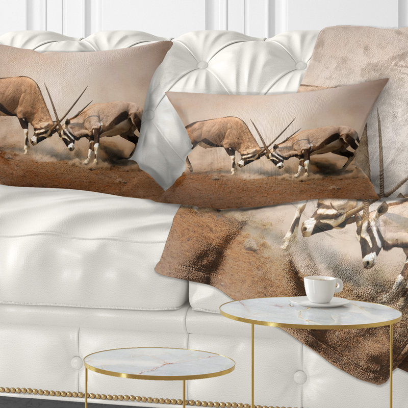 Coussin lombaire gemsbok antelopes combat wall