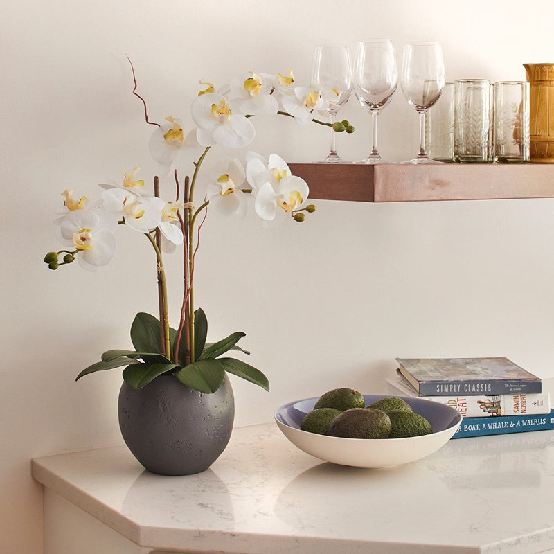 FLORAL 25IN DOUBLE STEM ORCHID, WHITE, White