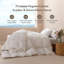 Édredon en duvet 100% coton toutes saisons-1683468105