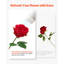 Bouquet de 60 fleurs artificielles roses rouges pour Noël-922858600