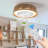 21" Bohemian Braided Ceiling Fan Light, Silent Remote Control With Timing Function, Adjustable Color Temperature, Suitable For Bedroom And Living Room (Silent/6-Speed/Reversible/Dc Motor)