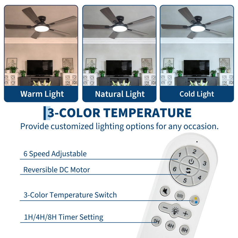 Ceiling Fan, 132.08cm W, Black, 132.08