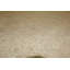 Wool Oriental Area Rug in Beige
