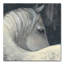 « bijou », impression sur toile tendue-33410798