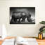 Rhinocéros d'Etosha Park-107706973