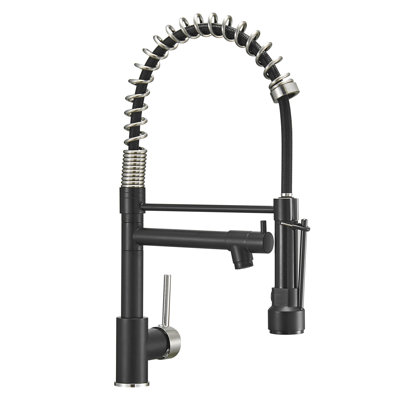 FLG Pull Down Kitchen Faucet