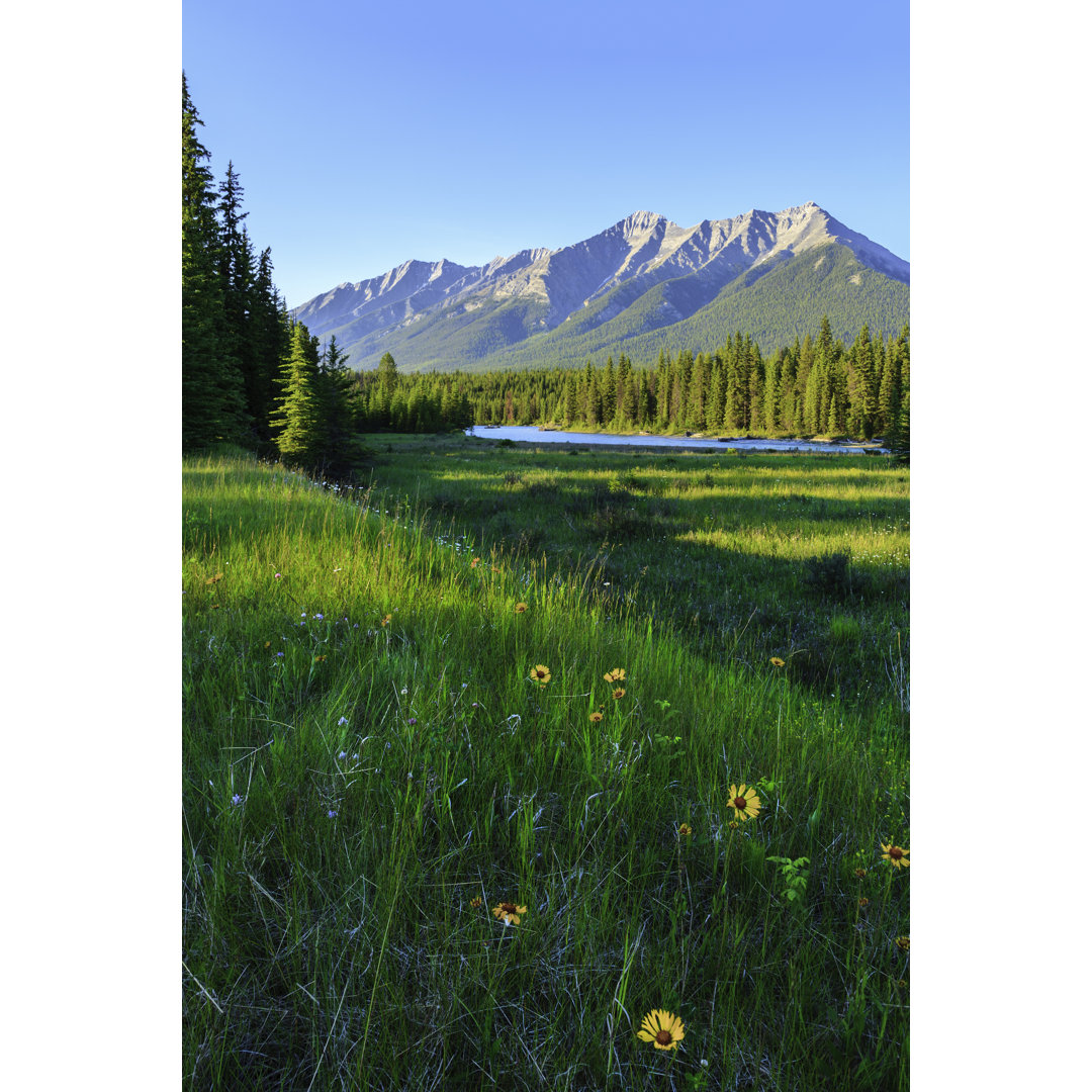 Wiese Kanada Rockies von Dszc - Druck auf Leinwand ohne Rahmen