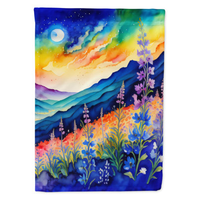 Double Sided 40'' H x 28'' W Polyester House Flag
