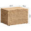 Coffre de rangement robuste en osier de jacinthe d'eau avec charnière de sécurité et structure en métal Ved H 15,2 po x l 23,3 po x P 16,5 po, naturel-85679093-121071246