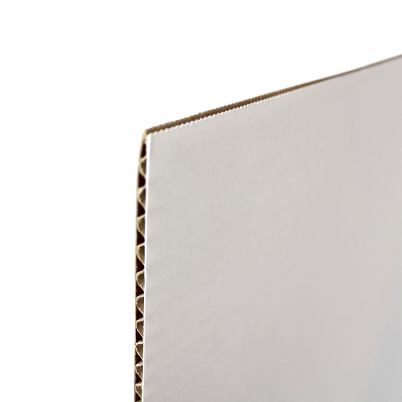 Carrelage en plastique, H 18 po x l 48 po x P 0,16 po, Blanc