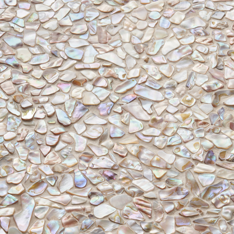 Baroque 12" x 12" Seashell Mosaic Wall Tile