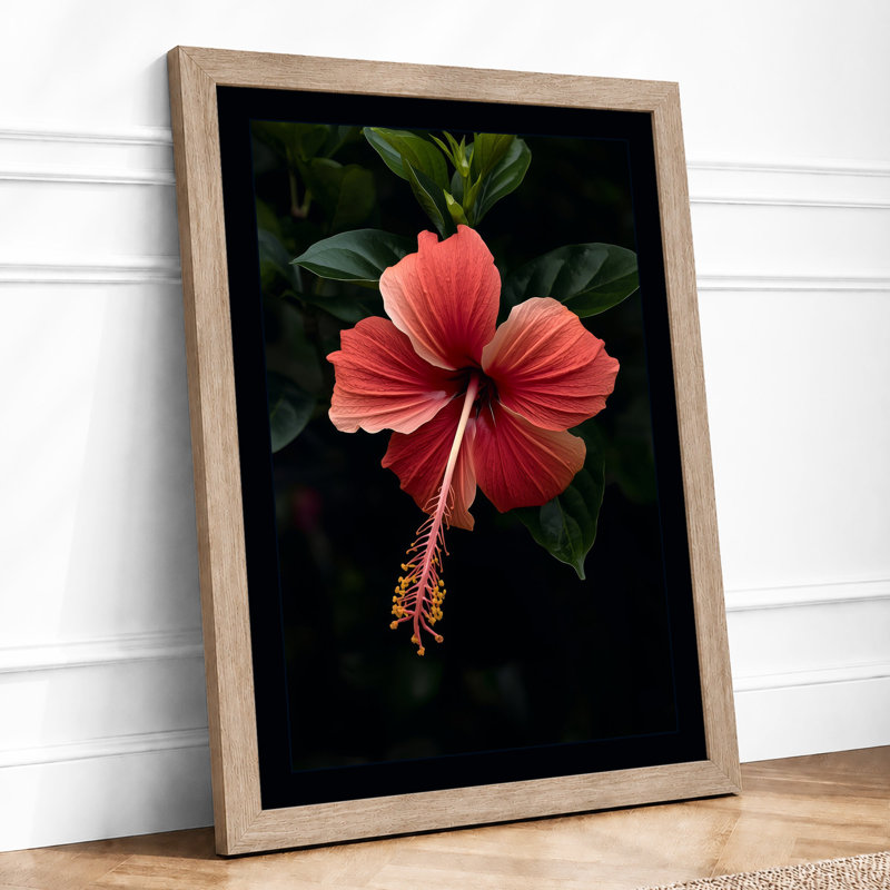 Crimson Hibiscus Botanical - Framed Print, Oak, A4 - 29.7 x 21.0 cm