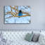 «Steller Jay In Winter» par Rick Berk, art mural sur toile-1028119649