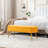 Renata Velvet Upholstered Storage Bench with Nailhead Trim-548413935