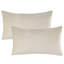 Ensemble de housses de coussin lombaire en velours 12 po x 20 po, taies décoratives douces-133339184-133339190